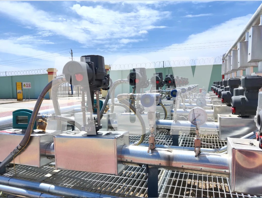 1768879661730085.jpg e7d00f3e17925ac80514462ba34f9677.jpg